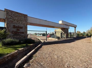 Terreno · 311m² · Venta | Terreno en B° Solar de Olivos