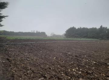 Campo · 200m² · 3 Ambientes · Venta Campo 6 Ha Colonia Caroya