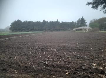 Campo · 200m² · 3 Ambientes · Venta Campo 6 Ha Colonia Caroya