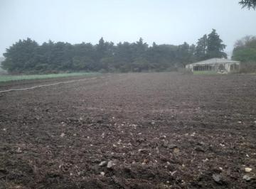 Campo · 200m² · 3 Ambientes · Venta Campo 6 Ha Colonia Caroya