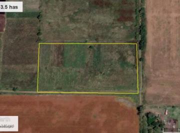 Campo · 35000m² · Terreno de 3.5 Has Ideal Horticultor