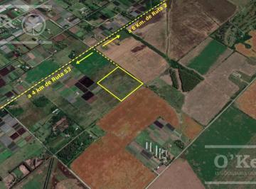 Campo · 69000m² · Terreno - Centro Agricola El Pato