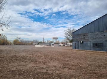 Bodega-Galpón · 700m² · Nave Industrial en Pin Oeste
