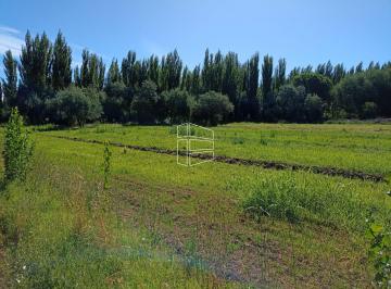 Campo · 2147483647m² · Venta - Chacra en Blanco de 42 Has en Mainque - R021
