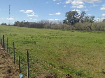 Terreno · 37500m² · 2 de Abril y Leopoldo Acuña, Norberto de La Riestra ¡Predio/quinta Urbana de 3,75 Ha!
