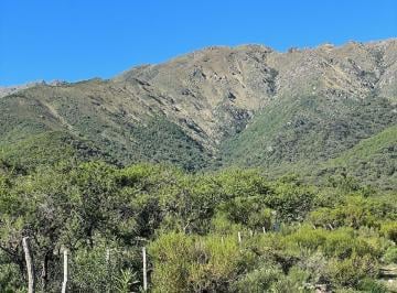 Terreno , Los Molles · Venta de 2,5 Has en Los Molles, San Luis