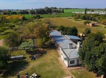 Campo · 130ha · Chacra 1/2 Ha en Venta con 3 Galpones y Vivienda