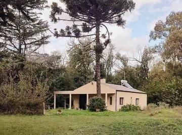 Campo de 5 ambientes, San Andrés de Giles · Hermoso Campo / Chacra con Pileta y Arboleda - Ideal Proyecto Turístico!