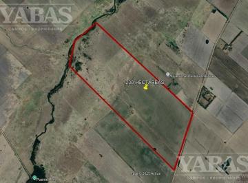 Campo · Venta - Campo - Ramallo - 230 Ha Mixtas