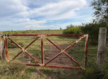 Campo · 740000m² · 1 Ambiente · Venta Campo Mixto - Concordia