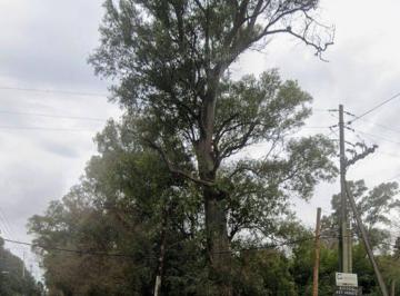 Terreno · 1852m² · Terreno Lote Venta Ministro Rivadavia Burzaco