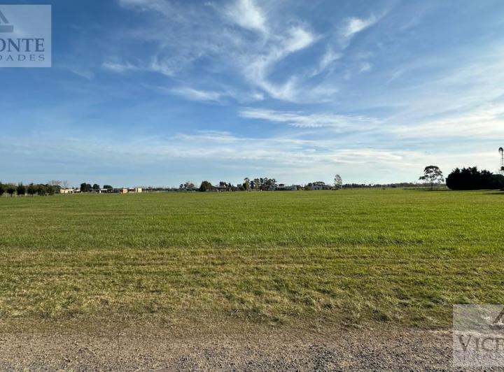 Terreno · 4936m²
