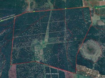 Campo · 8110000ha · Campo de 811 Ha en La Gallareta