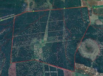 Campo · 8110000ha · Campo de 811 Ha en La Gallareta