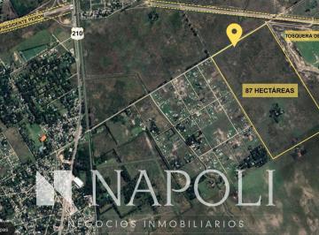 NNI-NNI-3085_2 · Campo en Venta, Ideal Loteo Alejandro Korn, San Vicente