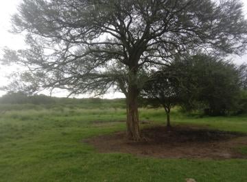 Terreno · 750000m² · Oportunidad! Vendo 75 Ha de Terreno en La Granja (Usd 0,69 X M&sup2;)