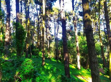 Terreno · 450m² · Venta Lote Mar de Las Pampas