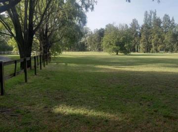 Terreno · 5000m² · Terreno en Venta - 5000 m² - Exaltacion de La Cruz