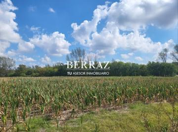Campo · 37m² · Fracción de Campo Agrícola en Venta 37 Ha Lima, Zarate