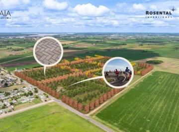 Terreno · 350m² · Venta - Lotes de 350 m² a 496 m². Gaia, General Lagos.