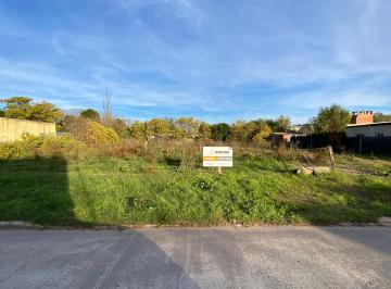 Terreno , Navarro · Terrenos en Venta Navarro
