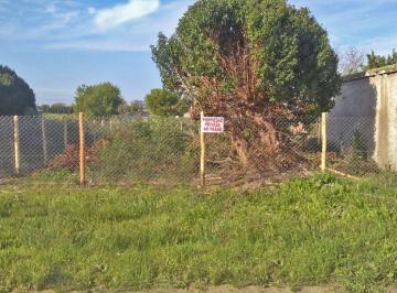 Terreno · 234m² · Venta Lote en Calle 43 y 48 Miramar 234 m