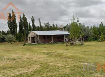 Campo · 144m² · 3 Ambientes · Chacra en Cinco Saltos