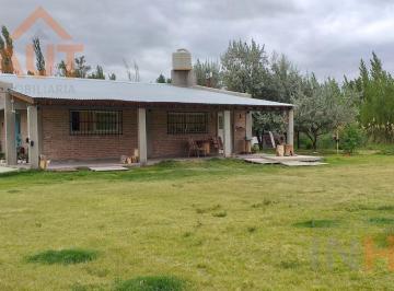 Campo · 144m² · 3 Ambientes · Chacra en Cinco Saltos