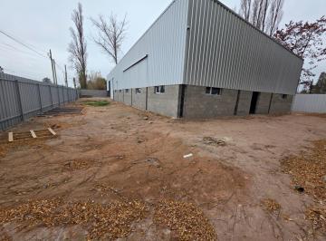 Bodega-Galpón · 600m² · 1 Ambiente · Galpón en Zona Aeropuerto Neuquen