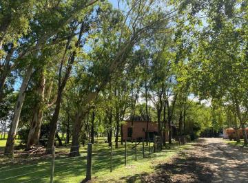 Campo · 100ha · Campo en Venta San Vicente 100 Ha