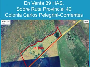 Campo , Colonia Carlos Pellegrini · Venta de Campo en Colonia Pelegrini - Corrientes