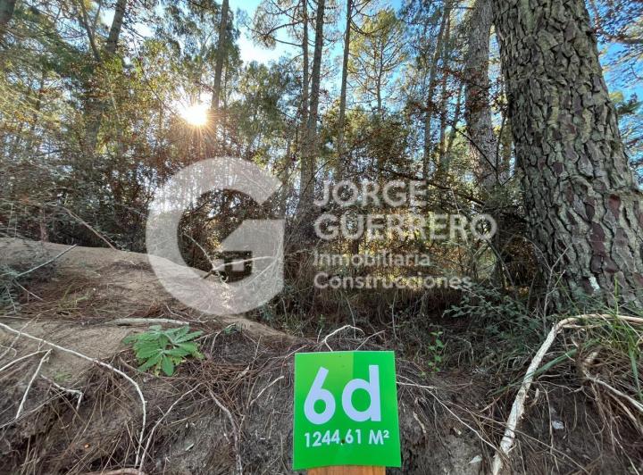 Terreno · 1244m²
