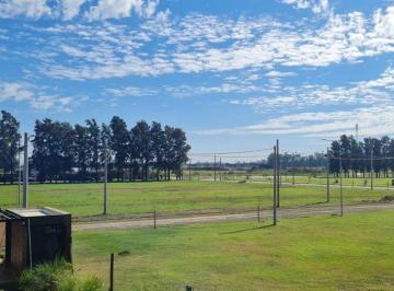Terreno · 481m² · Lotes Venta Pinar de Lagos Gral Lagos B La Rotonda