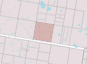 Campo · 64ha · Se Vende Campo 2.470 Ha en Villa Minetti