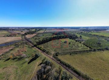 Campo · 468501m² · 4 Ambientes · Campo de 46,8 Hect. en Pilar