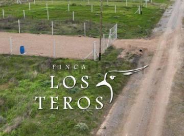 Terreno · 562m² · Venta de Terreno en Los Talas, Berisso
