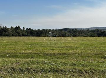 Foto1 · Venta Lote Para Fraccionamiento, San Carlos