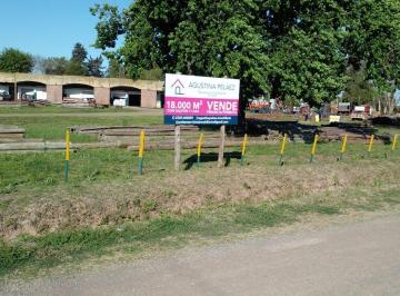 Terreno · 18000m² · Terreno en Venta o Permuta San Andres de Giles Sobre Ruta Provincial Nª41