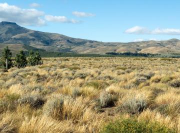 Terreno · 1375m² · Loteo Huechulafquen Lote Vistas Al Volcan Lanin