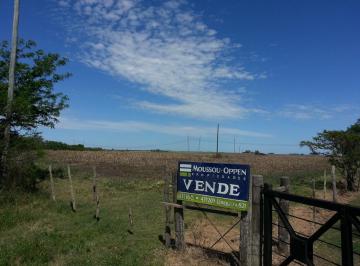 Campo · 160000m² · Chacra - Villa Lila