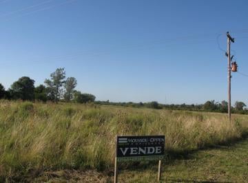 Campo · 15000m² · Chacra - Urdinarrain