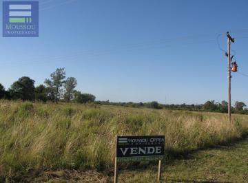 Campo · 15000ha · Chacra - Urdinarrain