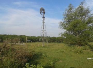 Campo · 1000000m² · Campo - Costa del Uruguay