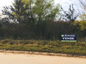 Campo · 250000m² · Chacra - Gualeguaychu