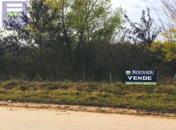 Campo · 250000ha · Chacra - Gualeguaychu