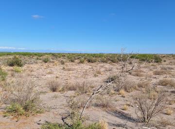 Terreno , San Martín · Campo en Venta San Martin