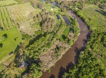 Terreno · 20000m² · Predio de 2 Has con Plantación de Árboles Pecán