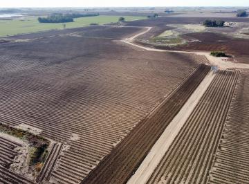 Campo de 5 ambientes, General Arenales · Campo Agrícola de 855 Has, General Arenales, Provincia de Buenos Aires.