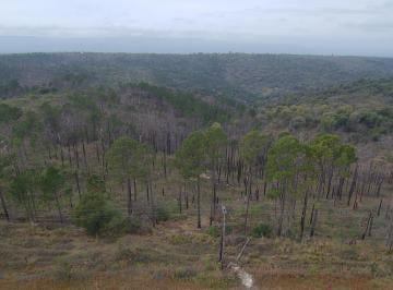 Terreno · 110000m² · Terreno en Venta 11 Ha Villa Gral Belgrano!