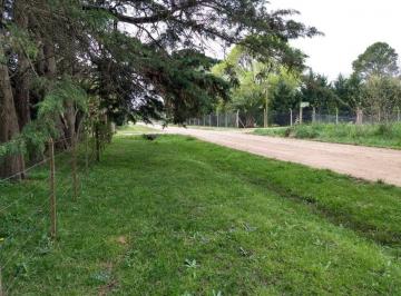 Terreno · 800m² · Lote en Venta en Laguna de Lobos